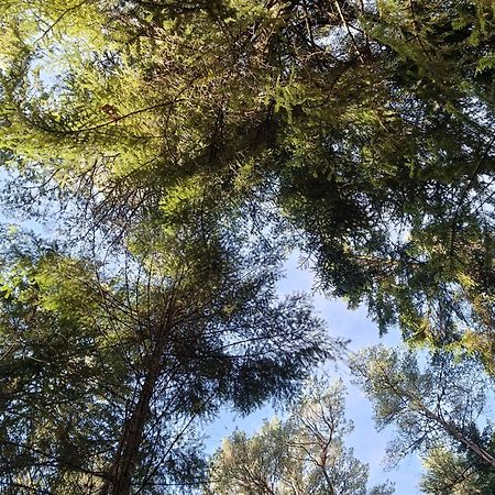 Cairngorm Lodges Aboyne Luaran gambar