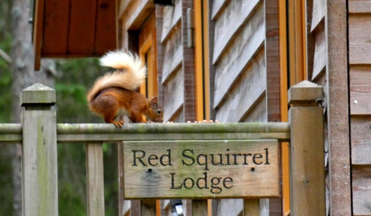 Cairngorm Lodges Aboyne Luaran gambar