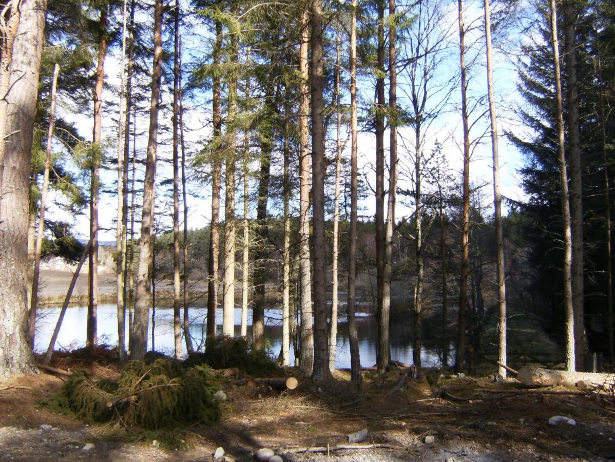 Cairngorm Lodges Aboyne Luaran gambar