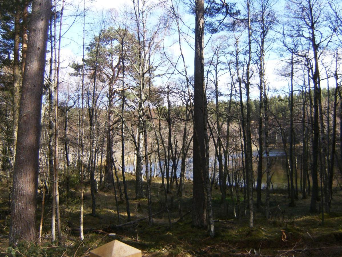 Cairngorm Lodges Aboyne Luaran gambar