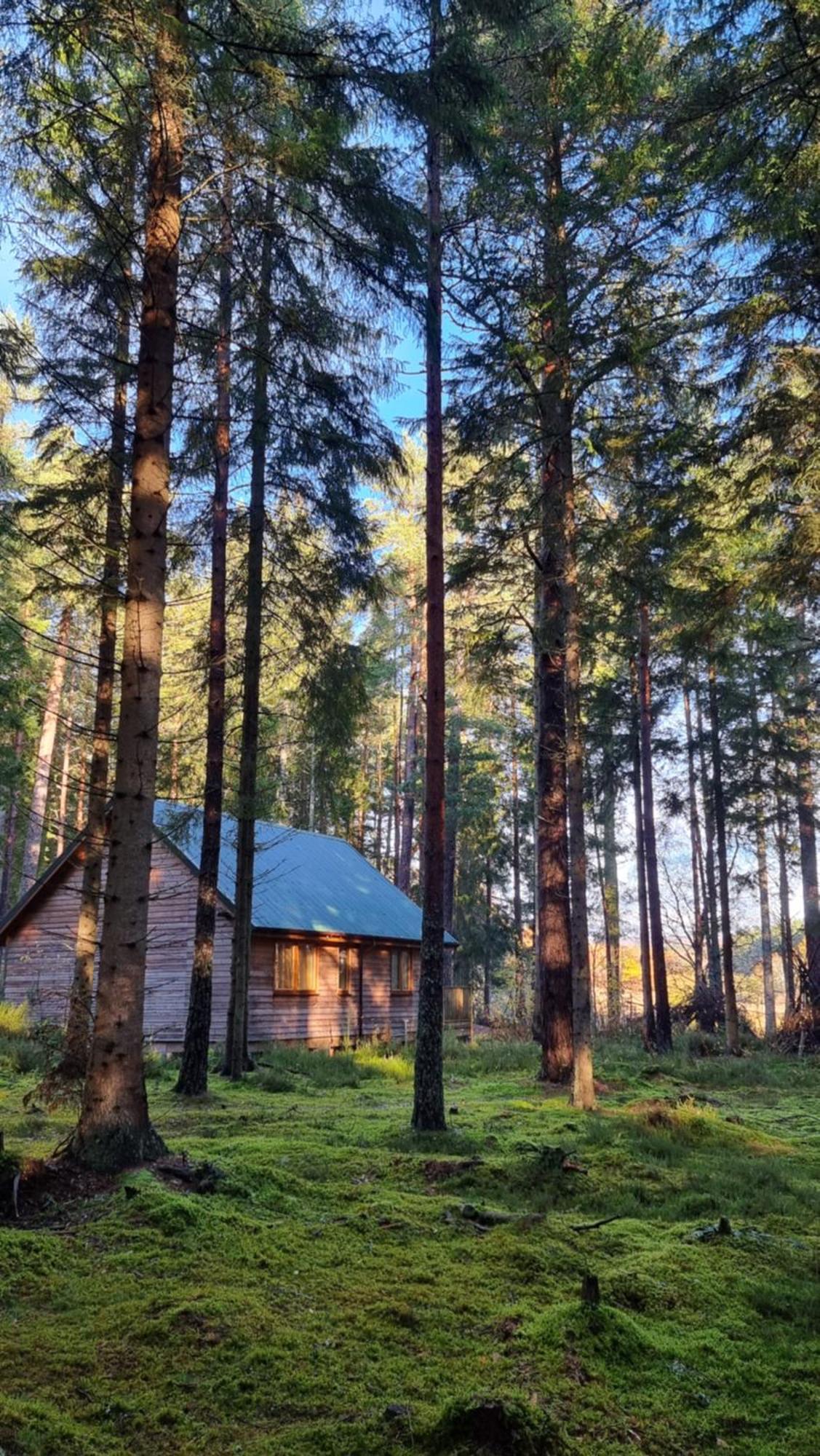 Cairngorm Lodges Aboyne Luaran gambar