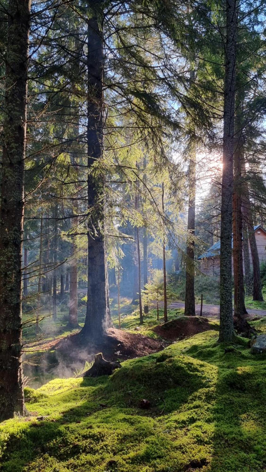 Cairngorm Lodges Aboyne Luaran gambar