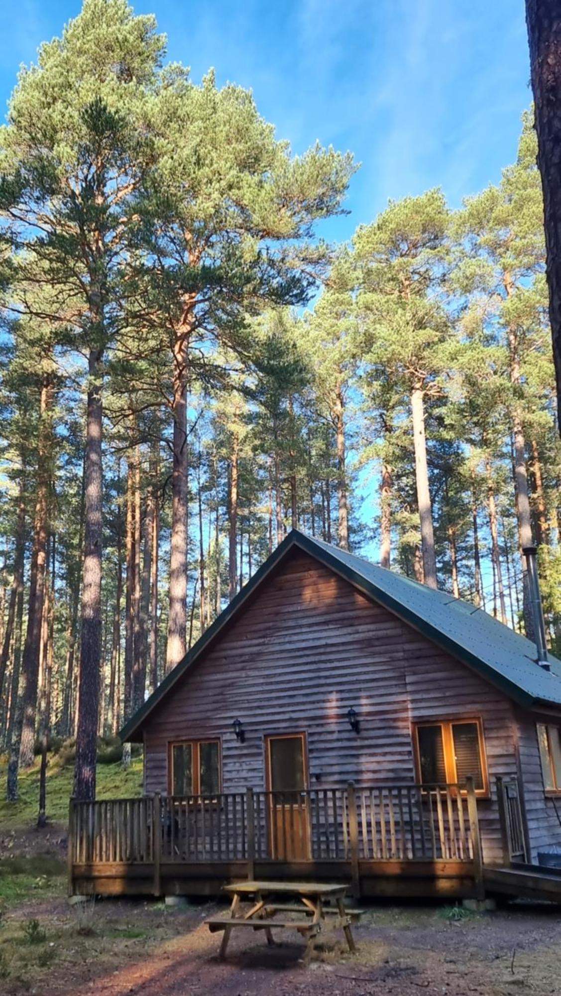 Cairngorm Lodges Aboyne Luaran gambar
